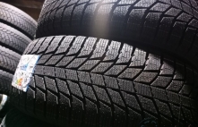 Triangle Snowlink PL01 Friction 98R