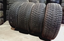 Bridgestone Blizzak  DM-V2 96S